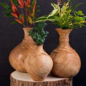 Maple Vases    